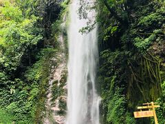 -莫里热带雨林景区