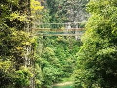 -光雾山旅游景区