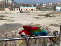 -水上乐园·欢乐世界