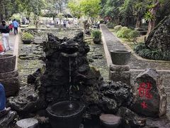 -海口火山口国家地质公园