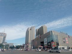 -闫家驴肉火烧(五四店)