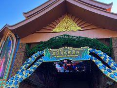 -西双版纳原始森林公园