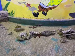 -重庆欢乐海底世界