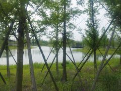 -海宁鹃湖公园