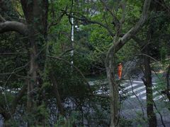 -钱塘江大桥