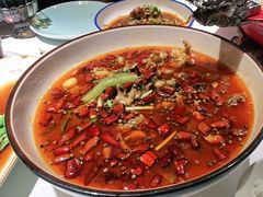 -雲蜀龙阁·金牌水煮鱼(方庄店)