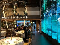 -桂满陇·海市蜃楼·黑金(国金店)