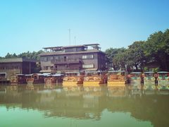 -大湾区中央湿地公园