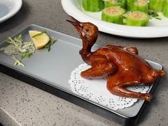 郑猛招牌红烧乳鸽-郑猛记石岐鸽主题餐厅(长江店)