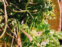 -攀枝花野菜铜火锅(万科凯德店)