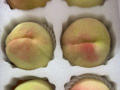 -老袁家蜜桃农场·阳山水蜜桃