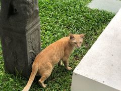 -曼谷国家博物馆