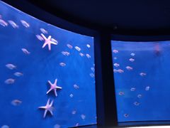 -沈阳海洋探索中心