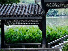 -荔湾湖公园