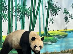 -秦皇岛野生动物园