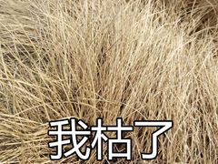 -雨花台烈士纪念馆
