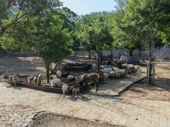 -石家庄市动物园