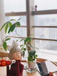 -JNK皮肤管理中心