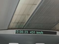 -龙阳路磁悬浮列车总站-停车场