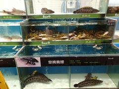 -永辉超市(鲁谷店)