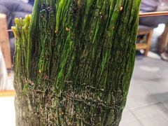 烤韭菜-北丐先生·野馄饨烧烤(雨花万象店)