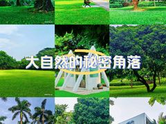 -荔香公园