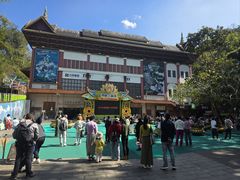 -西双版纳原始森林公园