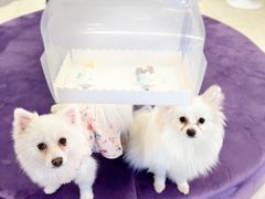 -怪兽屋·羊驼·猫咖·狗咖(俊华广场店)