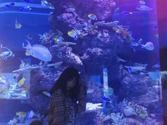 -成都浩海立方海洋公园