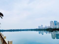 -白鹭洲公园