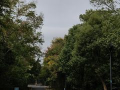 -青龙山国家森林公园