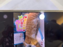 -德元·美联众合24小时动物医院(总院)