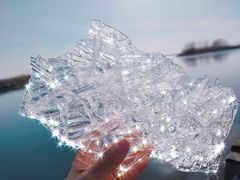 -苏州太湖湖滨国家湿地公园