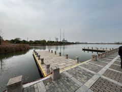 -九里湖国家湿地公园