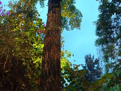 -大妙火锅·非物质文化遗产(东湖公园店)