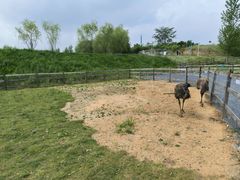 -红山体育度假乐园