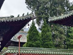 -报恩寺(平武县)