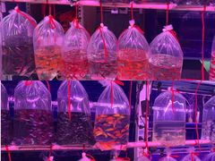 -华声天桥民俗文化园