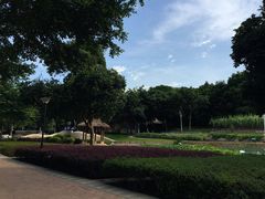 -天河儿童公园