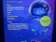 -暹罗海洋世界