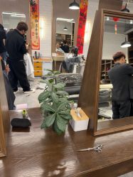 -逸丝风尚yesfashion造型