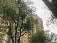 -嘉禾望岗(地铁站)