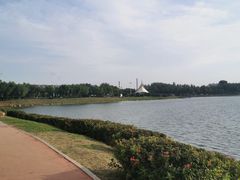 -丁香湖公园