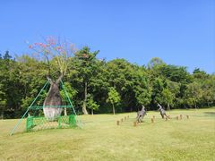 -东莞植物园