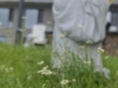 -云座·时光·观景咖啡厅(五爷庙店)