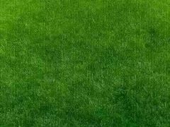 -武汉华夏国际影城(鲁广店)