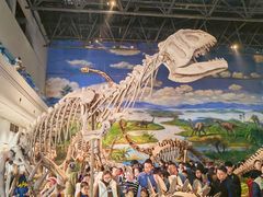 -自贡恐龙博物馆