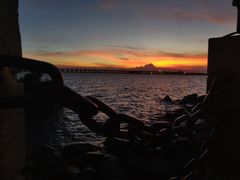 -宝安西湾红树林湿地公园