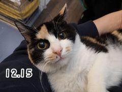 -美联众合动物医院·24h京西诊疗中心