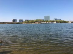 -大兴滨河森林公园